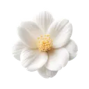 White Blossom